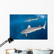 Blacktip Reef Sharks Swim Wall Decal