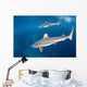 Blacktip Reef Sharks Swim Wall Decal