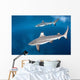 Blacktip Reef Sharks Swim Wall Decal