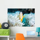 Clark's Anemonefish Snuggles amongst Wall Decal Design 3
