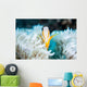 Clark's Anemonefish Snuggles amongst Wall Decal Design 3