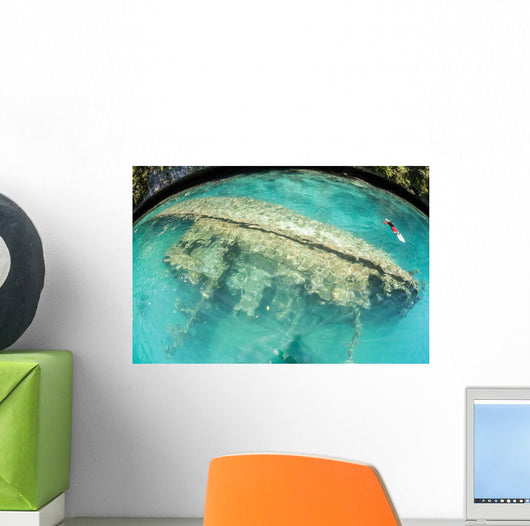 Shipwreck Now Serves as Wall Decal Design 2