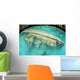 Shipwreck Now Serves as Wall Decal Design 2
