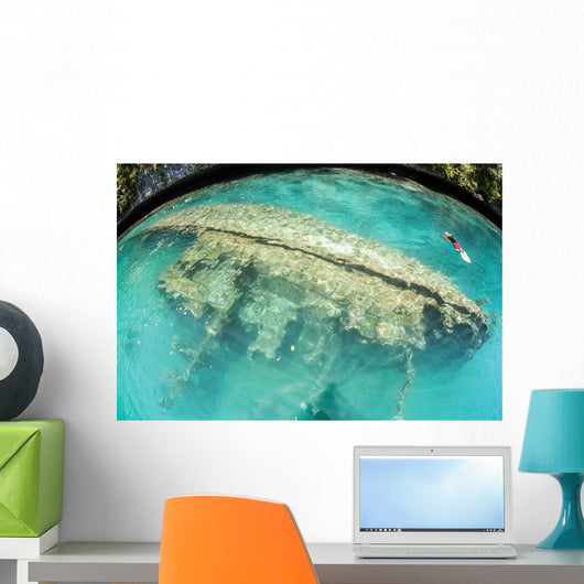 Shipwreck Now Serves as Wall Decal Design 2
