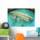 Shipwreck Now Serves as Wall Decal Design 2
