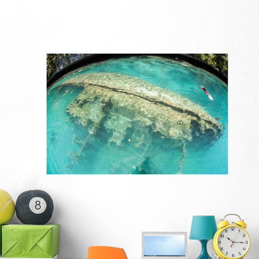 Shipwreck Now Serves as Wall Decal Design 2