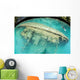 Shipwreck Now Serves as Wall Decal Design 2