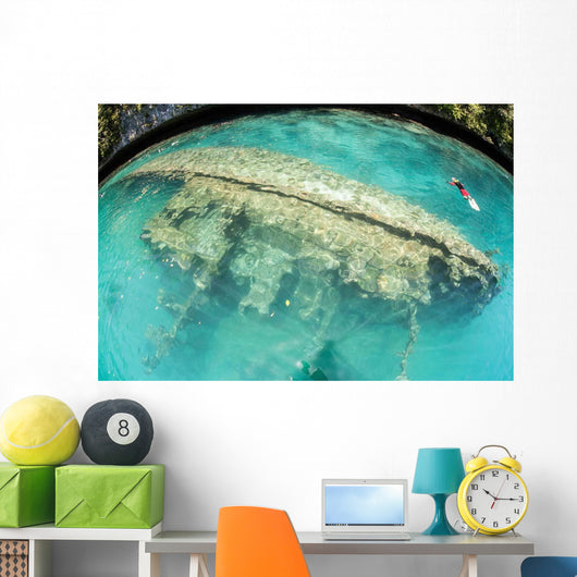 Shipwreck Now Serves as Wall Decal Design 2