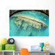 Shipwreck Now Serves as Wall Decal Design 2