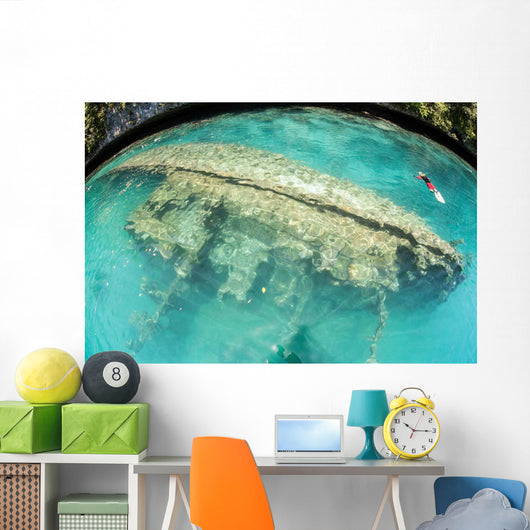 Shipwreck Now Serves as Wall Decal Design 2
