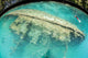 Shipwreck Now Serves as Wall Decal Design 2