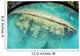 Shipwreck Now Serves as Wall Decal Design 2