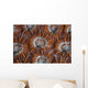 Detail Coral Polyps Growing Wall Decal