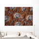 Detail Coral Polyps Growing Wall Decal