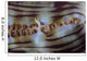 Detail Giant Clam Growing Wall Decal