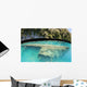 Shipwreck Now Serves as Wall Decal Design 1