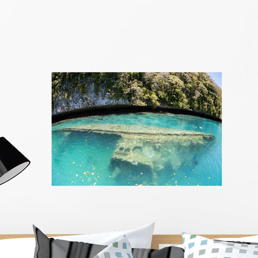 Shipwreck Now Serves as Wall Decal Design 1
