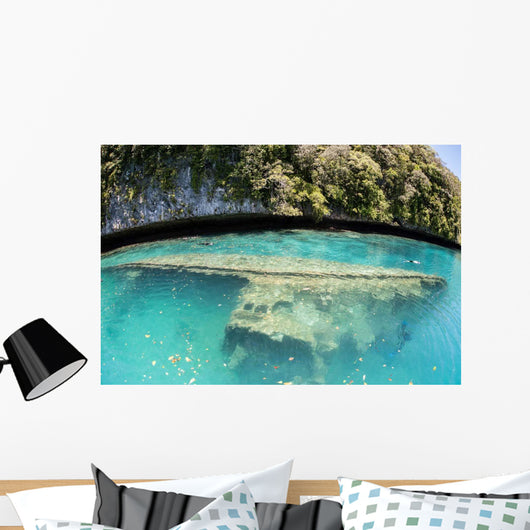 Shipwreck Now Serves as Wall Decal Design 1
