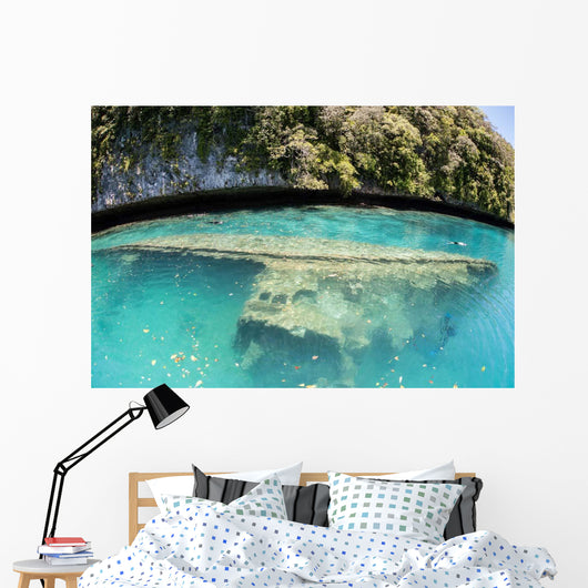 Shipwreck Now Serves as Wall Decal Design 1