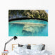 Shipwreck Now Serves as Wall Decal Design 1