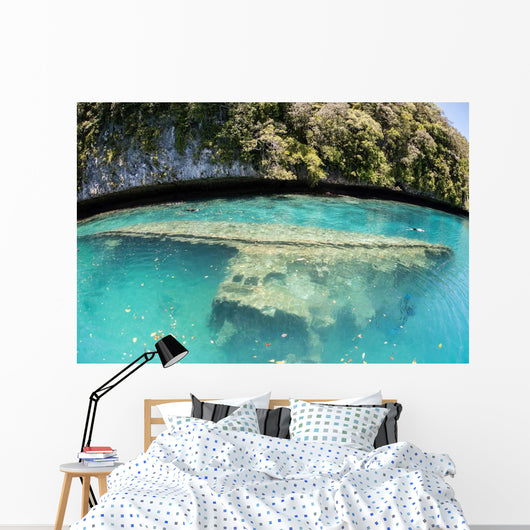 Shipwreck Now Serves as Wall Decal Design 1