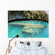 Shipwreck Now Serves as Wall Decal Design 1