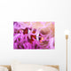 Clark's Anemonefish Snuggles amongst Wall Decal Design 2