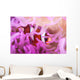 Clark's Anemonefish Snuggles amongst Wall Decal Design 2