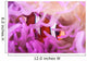 Clark's Anemonefish Snuggles amongst Wall Decal Design 2