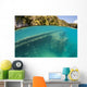 Snorkeler Swims above Shipwreck Wall Decal Design 2