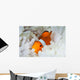 False Clownfish Snuggles amongst Wall Decal