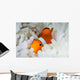False Clownfish Snuggles amongst Wall Decal
