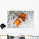 False Clownfish Snuggles amongst Wall Decal