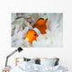 False Clownfish Snuggles amongst Wall Decal