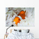 False Clownfish Snuggles amongst Wall Decal