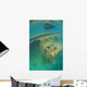Snorkeler Swims above Shipwreck Wall Decal Design 1