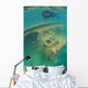 Snorkeler Swims above Shipwreck Wall Decal Design 1