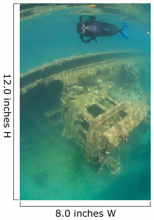 Snorkeler Swims above Shipwreck Wall Decal Design 1