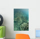 Delicate Reef-building Corals Grow Wall Decal