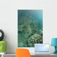 Delicate Reef-building Corals Grow Wall Decal