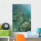 Delicate Reef-building Corals Grow Wall Decal