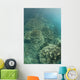 Delicate Reef-building Corals Grow Wall Decal