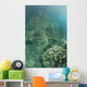 Delicate Reef-building Corals Grow Wall Decal
