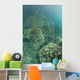 Delicate Reef-building Corals Grow Wall Decal