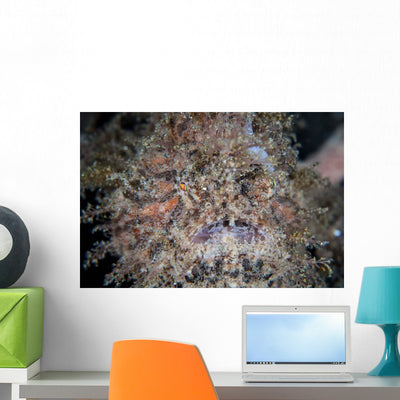 Hairy Frogfish Waits to Wall Decal Design 3 shown on a wall