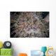 Hairy Frogfish Waits to Wall Decal Design 3