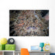 Hairy Frogfish Waits to Wall Decal Design 3