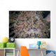Hairy Frogfish Waits to Wall Decal Design 3