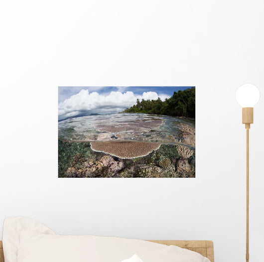 Reef-building Corals Grow Reef Wall Decal Design 1