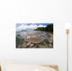 Reef-building Corals Grow Reef Wall Decal Design 1